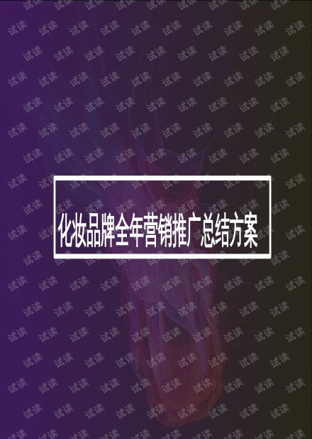 化妝品全年內(nèi)容營銷與網(wǎng)絡(luò)推廣整合方案